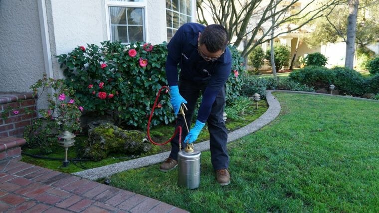 roach exterminator in san francisco, california