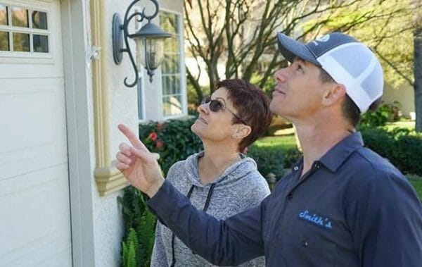 How to Get Rid of Wasps in Your Yard & House | Smith's Pest Management