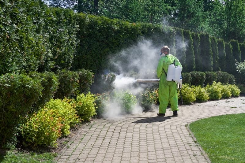 fogging yard for tick control