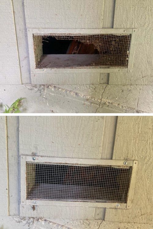 rodent exclusion services