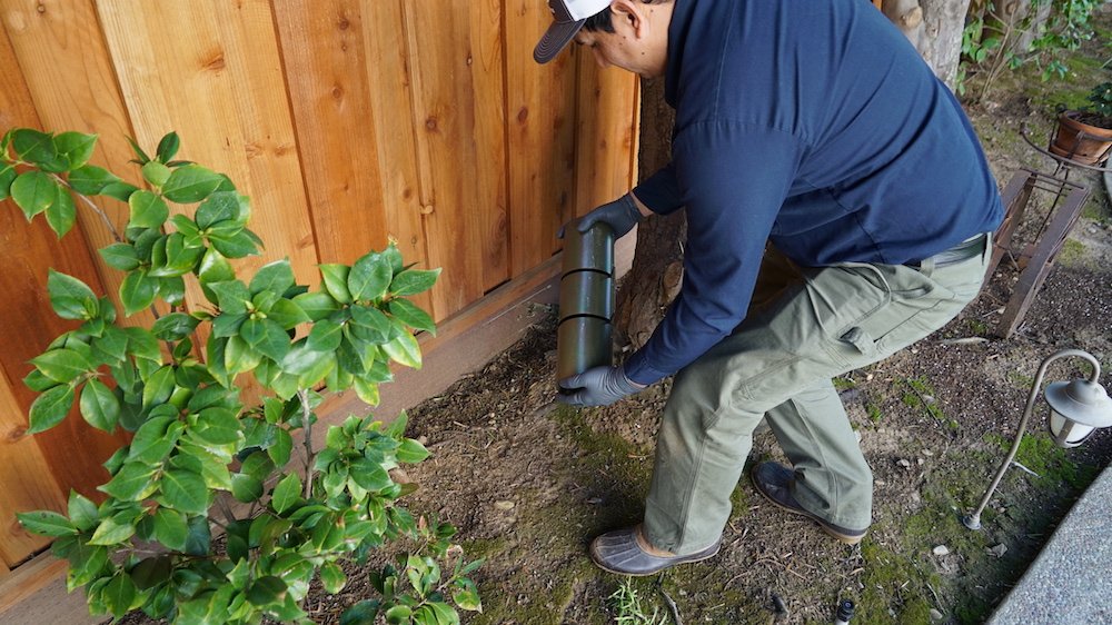 professional mole control