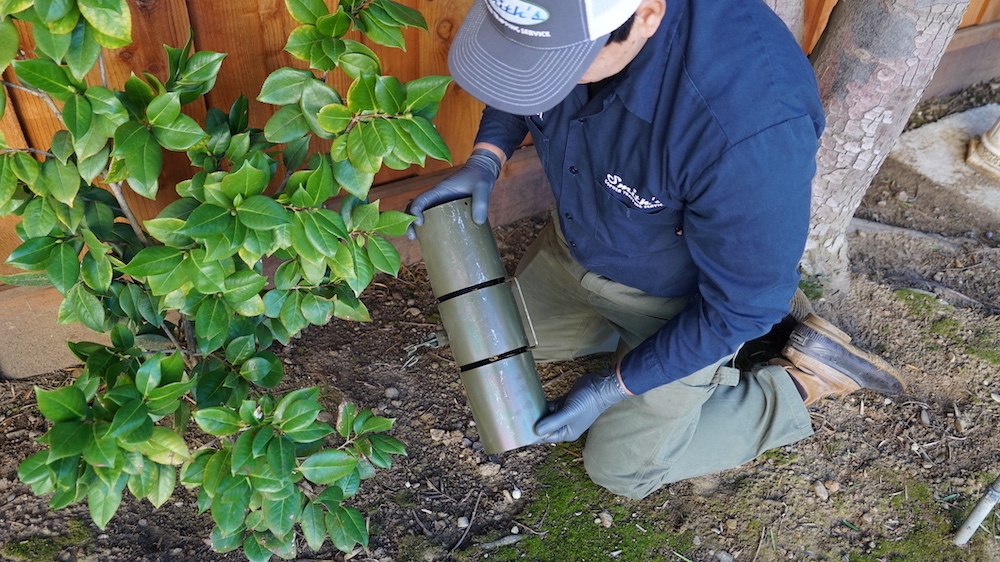 professional vole control