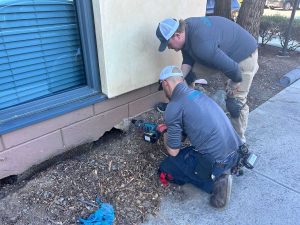 best local pest control bay area