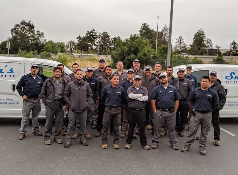 cupertino pest control team