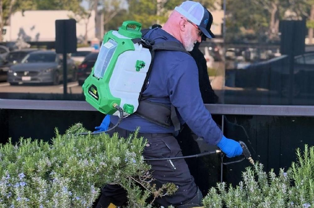 commercial pest control smith's pest management bay area