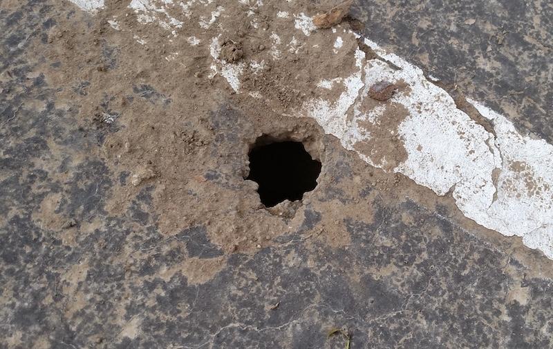 rat holes yard bay area