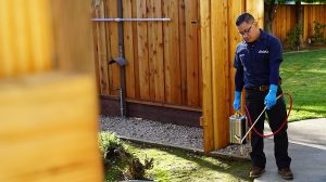 best commercial pest control companies in the bay area