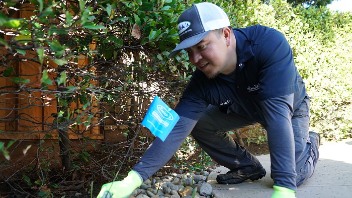 commercial pest control experts in east bay