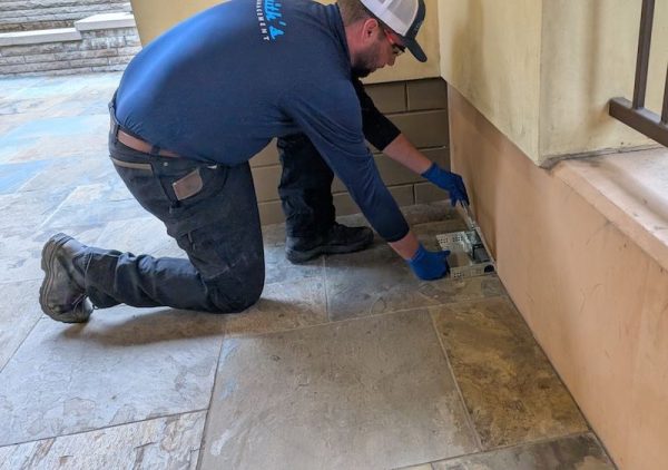 commercial pest control in east bay