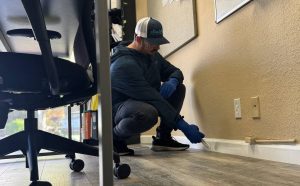 reasons pest control fails in bay area office buildings