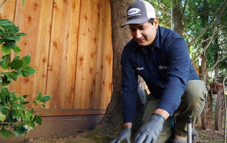 Redwood City ground squirrel trap