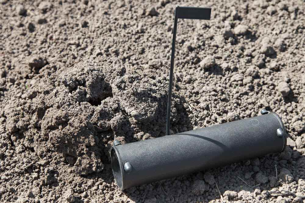 avoid live trapping gophers