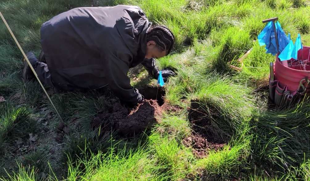 gopher control danville smith's pest-management
