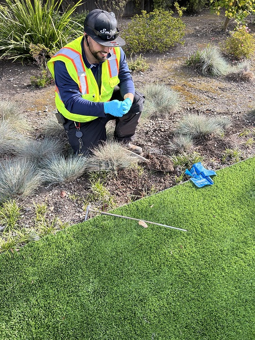 Smith's Pest Control setting up mole trap
