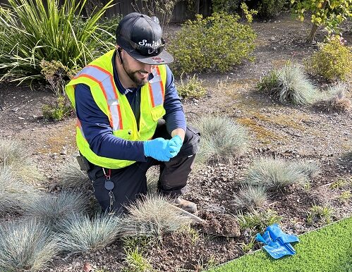 Smith's Pest Management mole control service