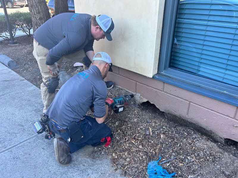 ground squirrel control process Installing fencing to block access
