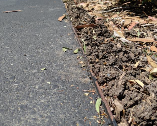 mole Raised Surface Tunnels