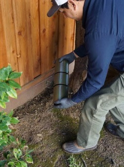 trapped mole removal