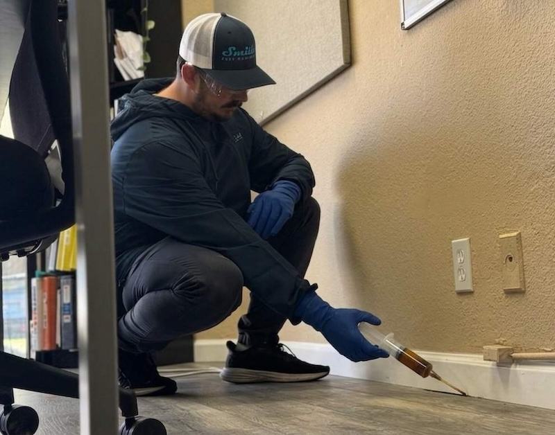 commercial cockroach control bay area