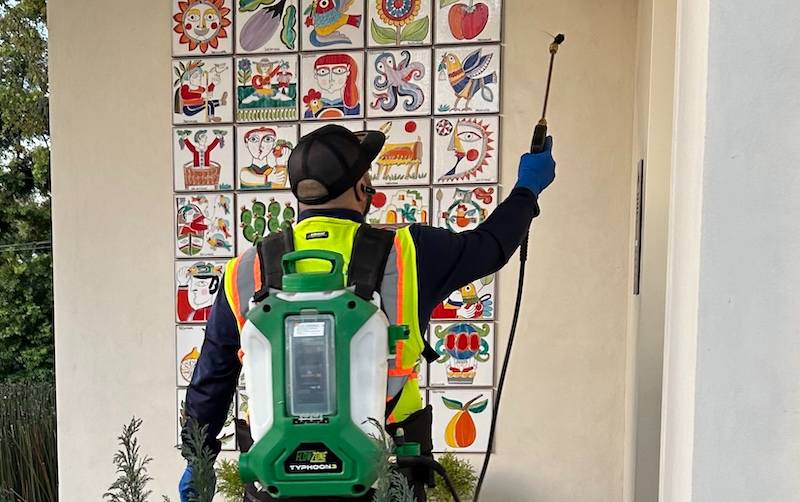 eco conscious spider control treatment san jose