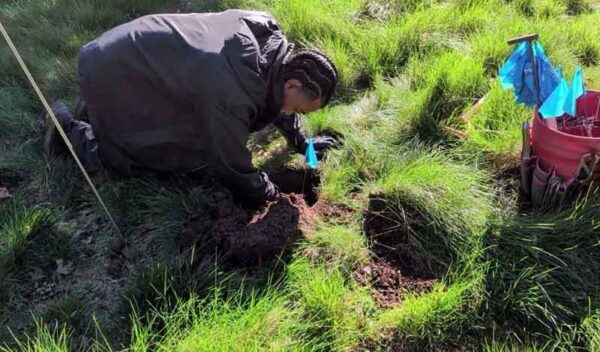 pest control inspection atherton