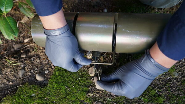 pest control treatment atherton