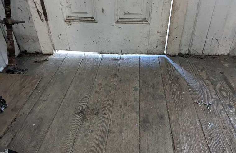 rodent control inspecting entire property