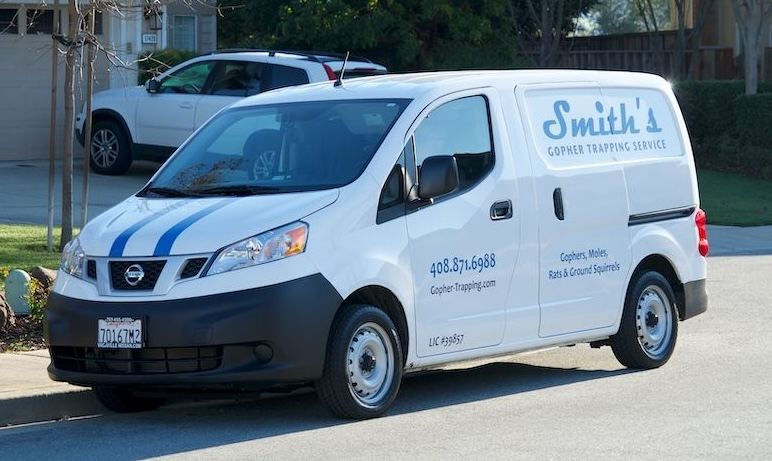 smith's pest management team spider control services bay area