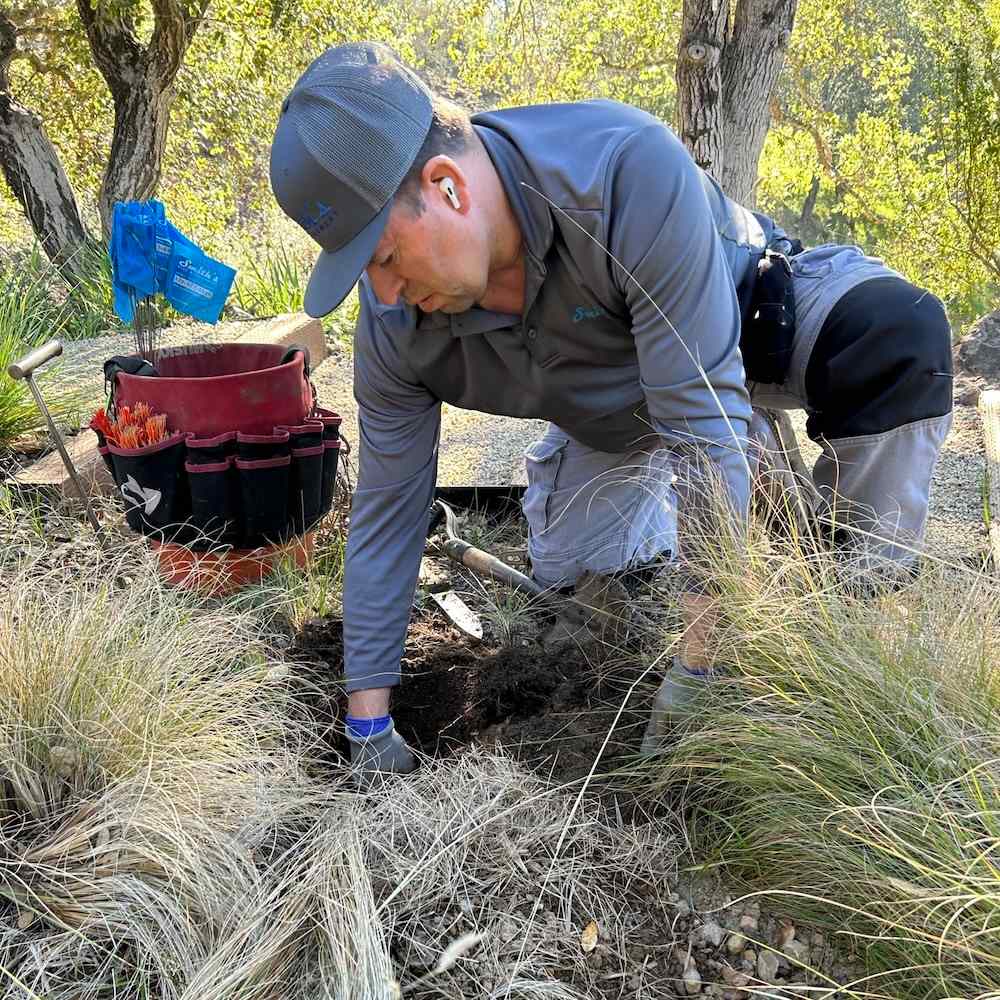 vole inspection smith's bay area