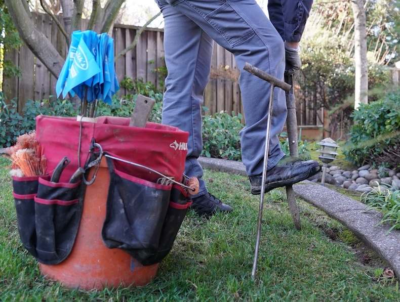 setting mole traps bay area