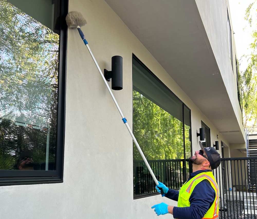 spider dewebbing service