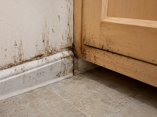 cockroach smear marks