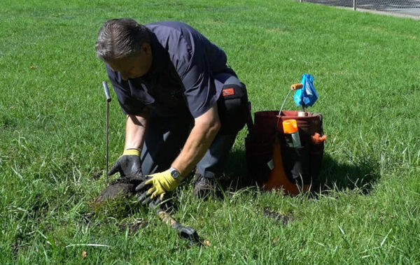 smith's tech trapping gophers