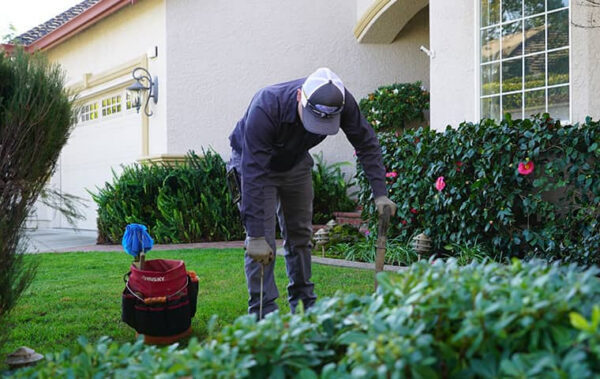 prevent gopher infestations