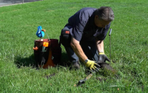 professional gopher control costs in bay area
